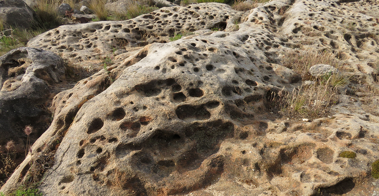Tasting The Landscape: From The Dinosaurs to The Glass
